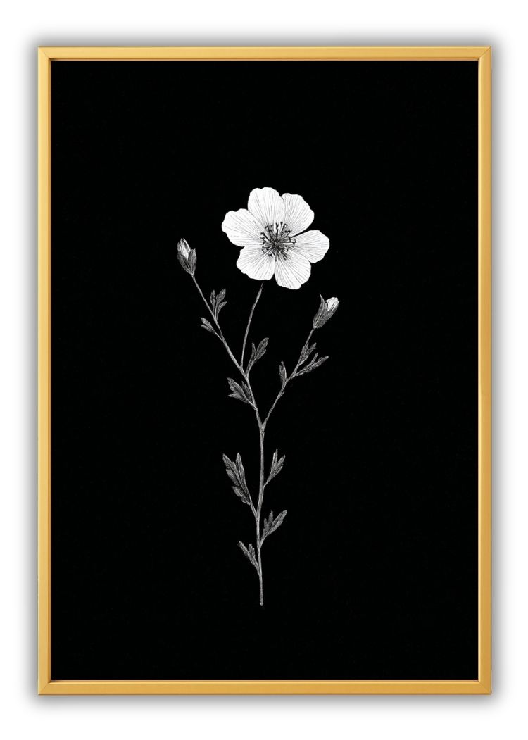 Minimal Botanical Sketch IV