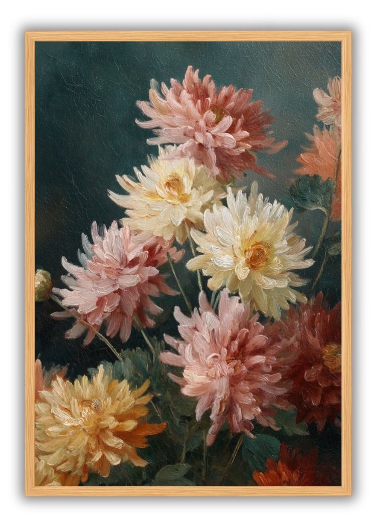 Chrysanthemum Bloom